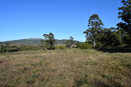 Venta Chacra Ruta 60 Maldonado Pan De Azucar Cerro Betete