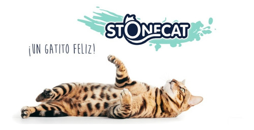 Imagen 7 de 10 de Piedritas Sanitarias Stonecat Aglomerante Por 4 Kg