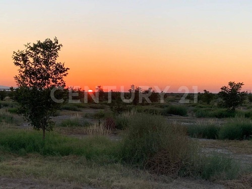 Huerta En Venta Parras San Francisco Del Progreso Parras