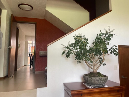 Casa En Venta En Lomas Hipódromo