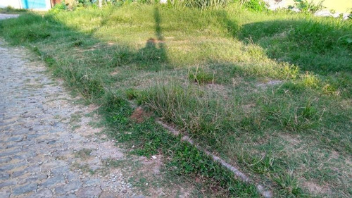 Imagem 2 de 15 de Terreno Para Venda Em Rio De Janeiro, Campo Grande - 104_2-541885