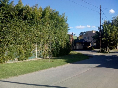 Imagen 5 de 7 de Lote | Belgrano 2850