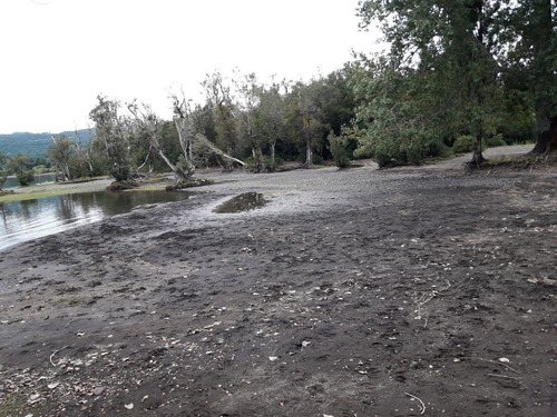 Sitios En Venta Lago Puyehue Mantilhue
