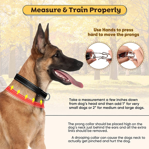 Coleira De Treinamento De Pinos Para Cães Com Nylon Ou De Li