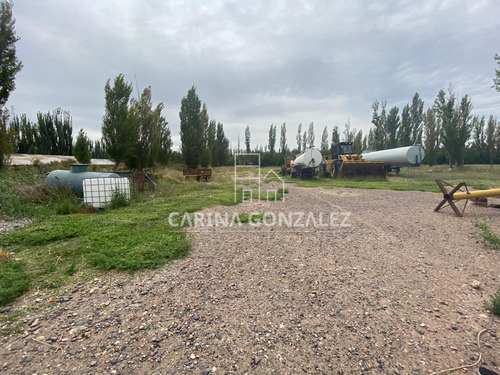 Venta Galpón, Oficinas Y Casa Con Pileta- Zona 4 Esquinas - Cipolletti