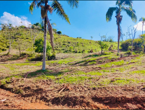 Imagem 4 de 8 de Terrenos Direto Com O Proprietario