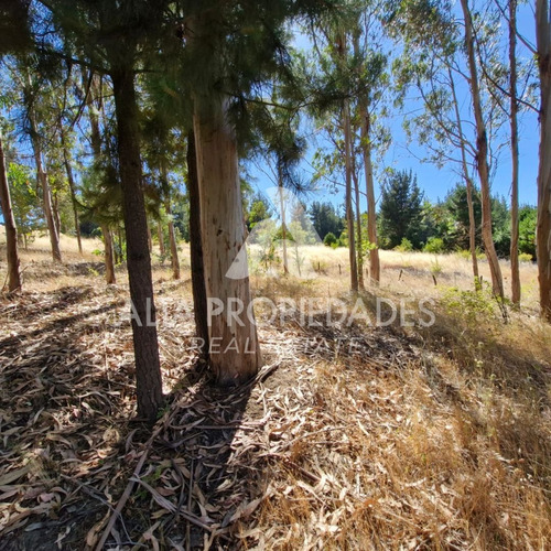 Parcela En Venta Sector Huenucheo, Cruce A Liucura
