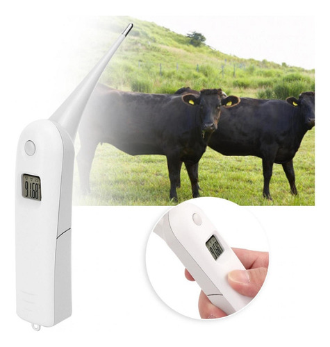 Termómetro Electrónico Para Uso Veterinario En Vacas Y Más