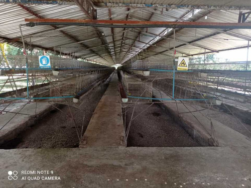 Imagen 2 de 17 de Finca De 12 Hectareas De Gallinas Ponedoras En Villa De Cura