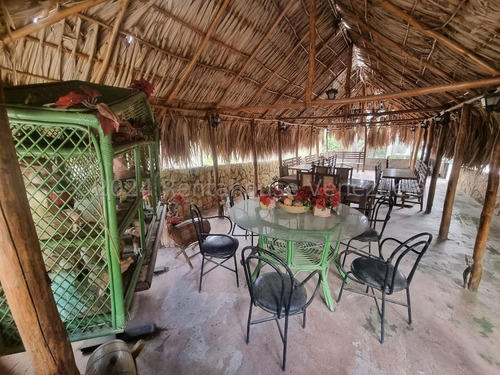 Carlos Colmenarez Vende Granja Amoblada Con Casa Principal De 4hab,3bñ,estacionamiento Multiple,casa De Encargado,deposito,a/a Entodas Las Hab,cocinas Dentro Y Fuera Con Parrillera A Gas Corrales,gall