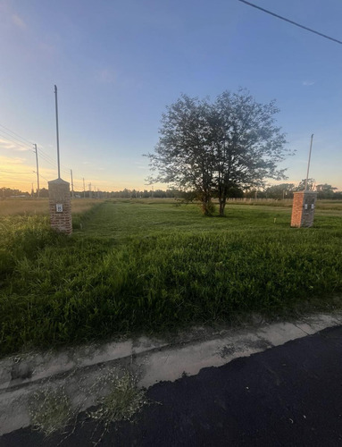 Terreno En Nueva Zelaya