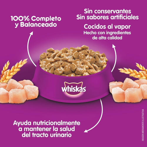 Imagen 10 de 10 de Whiskas Combo Alimento Seco Carne Y Humedo Mix Gato Adulto