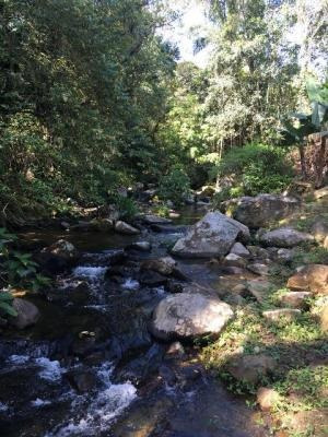 Excelente Chácara Em Pedro De Toledo - 4749 | A.c.m