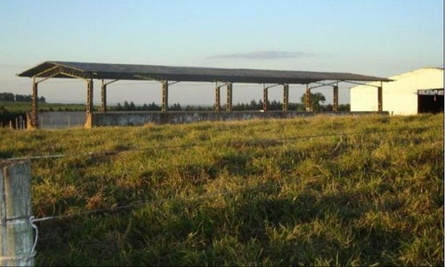 Imagem 3 de 14 de Fazenda Para Venda Em Bofete, Rural - Faz 098_1-2107800