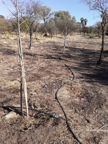 Imagen 14 de 17 de Chacra Rural Con Galpon