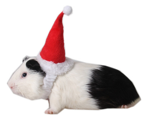 Gorro De Navidad Con Pompón Blanco Ajustable Para Hámster Y