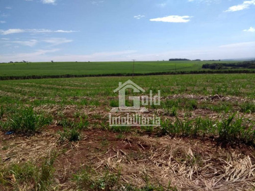 Área Com 5,8 Alqueires À Venda Por R$ 5.000.000 - Zona Rural - Brodowski/sp - Ar0010