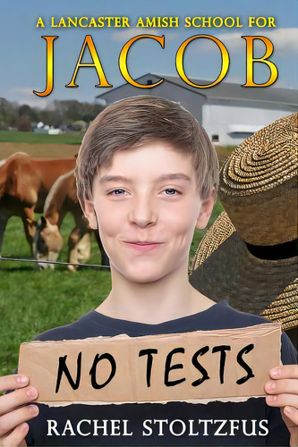 A Lancaster Amish School For Jacob, De Stoltzfus, Rachel. Editorial Createspace, Tapa Blanda En Inglés