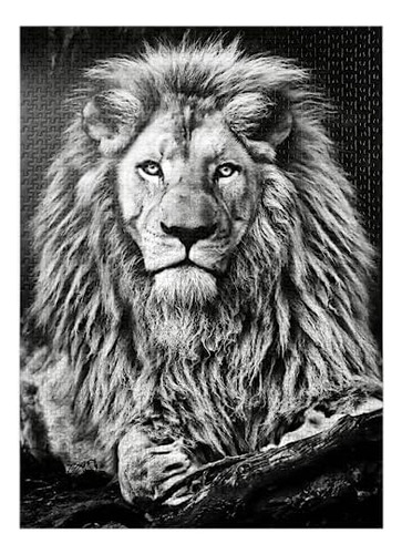 Imagen En Blanco Y Negro Del Majestuoso León - Rompecabezas 