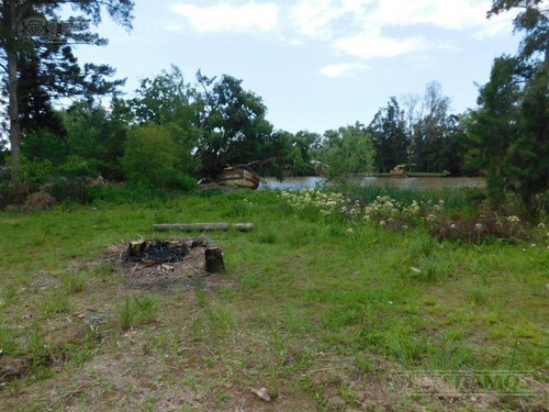 Imagen 5 de 8 de Terreno En Venta En Tigre