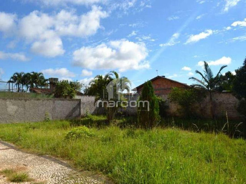 Imagem 5 de 15 de Terreno Localizado Em Area De Grande Valorização - Mte-089