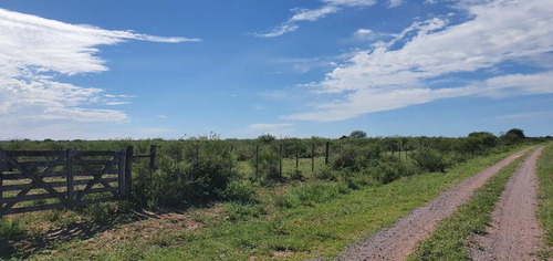 Campo - Santiago Del Estero