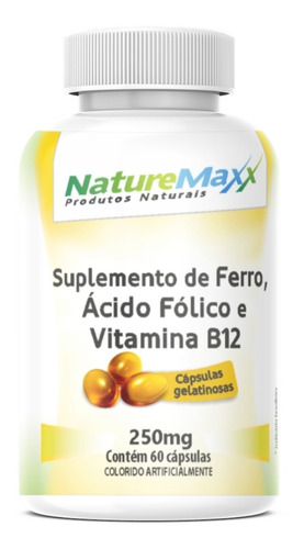 Suplemento Alimentar Ferro Ácido Fólico Vit B12 250mg 60 Cap