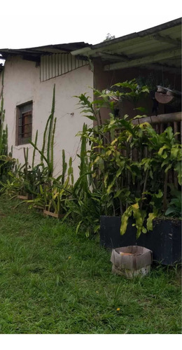 Chácara A Venda Riacho Grande - São Bernardo Dos Campos - Sp