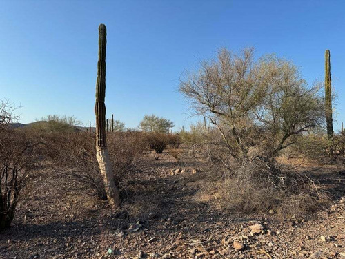 Camino A San Javier Lot 765 Parcela Z11, Loreto, Bcs