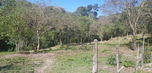 Imagem 4 de 26 de Sítio À Venda, 28000 M² Por R$ 650.000,00 - Bairro Dos Pintos - Itatiba/sp - Si0002
