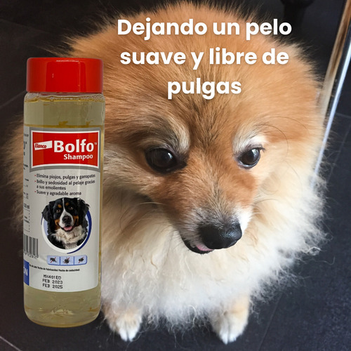 Shampoo Antipulgas Y Garrapatas Mascotas