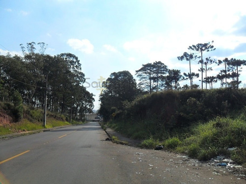 Terreno A Venda No Bairro Guatupê Em São José Dos Pinhais - 5570-1