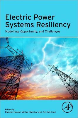 Libro Electric Power Systems Resiliency : Modelling, Oppo...