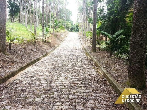 Imagem 12 de 15 de Chácara Pé Na Água Linda Com 33 Mil M2 - 2367
