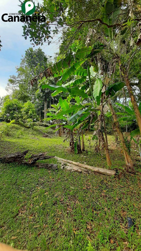 Imagem 25 de 25 de Ótimo Terreno Com 1.150,00 M² No Jardim Candairó - Cananéia - Litoral Sul De Sp - Te00087 - 70424942