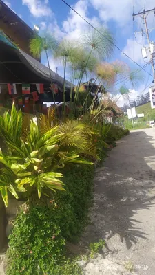 Negocio en venta