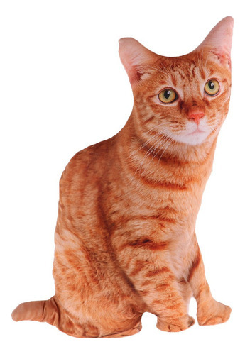 Almohada De Tiro En Forma De Gato Abraza Cojín De Almohada