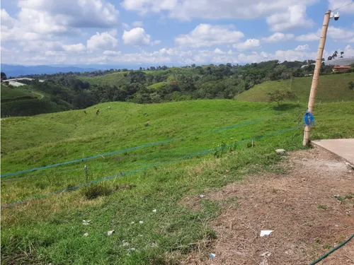 Venta Finca Ganadera Filandia Via Quimbaya - 41 Cuadras