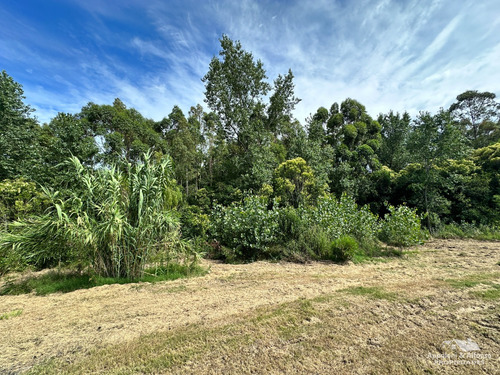 Solar De 2.237 M2 - Balneario Fomento #408
