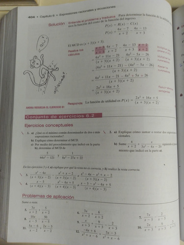 Algebra Intermedia - Allen R. Angel (Usado)