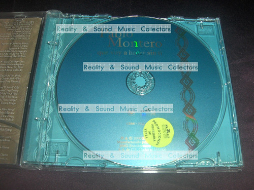 Pablo Montero Que Voy A Hacer Sin Ti Cd Bmg 2000 (Usado)