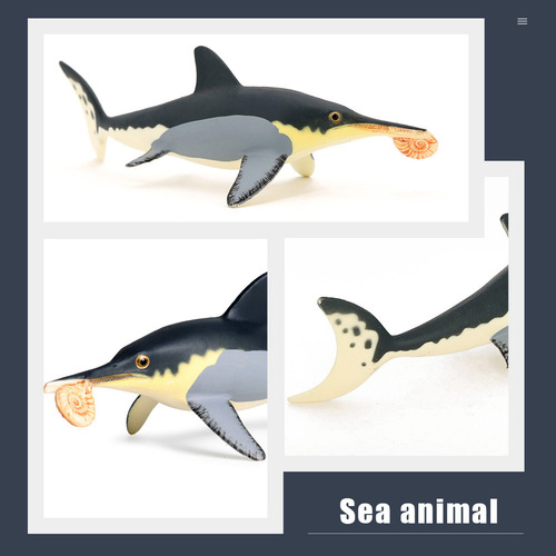 Simulación De Modelos De Animales Marinos Modelos De Animale