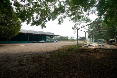 Empacadora-bodega En Venta En Chontalpa, Huimanguillo, Tabasco