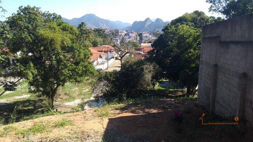 Imagem 11 de 14 de Terreno À Venda, 6000 M² Por R$ 4.000.000 - Taquara. - Te0025