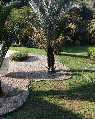 Imagem 26 de 30 de Sítio Cinematográfico À Venda Em Juquitiba; - 06 - 32982843