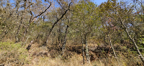 Terreno En Venta En Escobar, Mineral Del Monte
