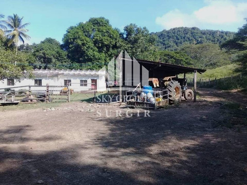Imagen 2 de 8 de Se Vende Finca En Yaracal Falcon