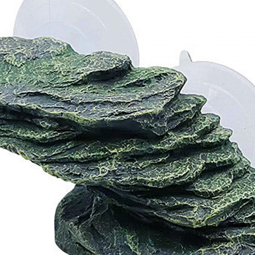 Muelle Para Reptiles, Piedra Para Terraza De , Repisa Para