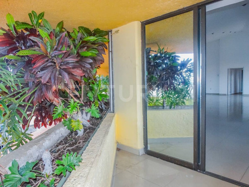 Local En Plaza Las Palmas Cuernavaca Morelos $65,625.00 Mxn