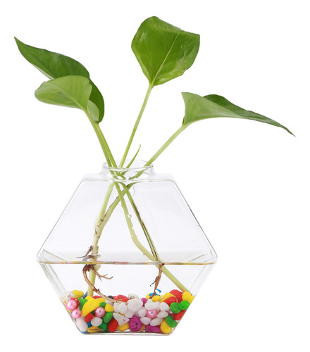 Plantas Colgantes Flores Florero Vidrio Acuario Hidropónico